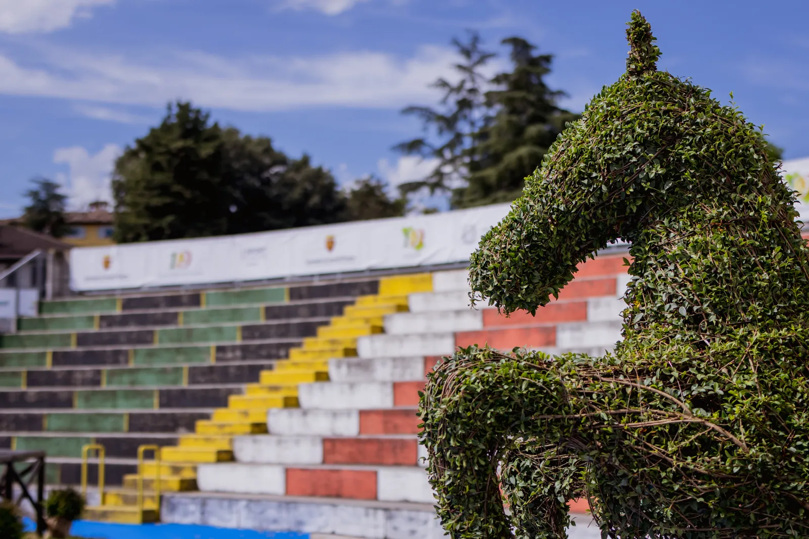 Il cavallo rampante in bosso davanti alla tribuna