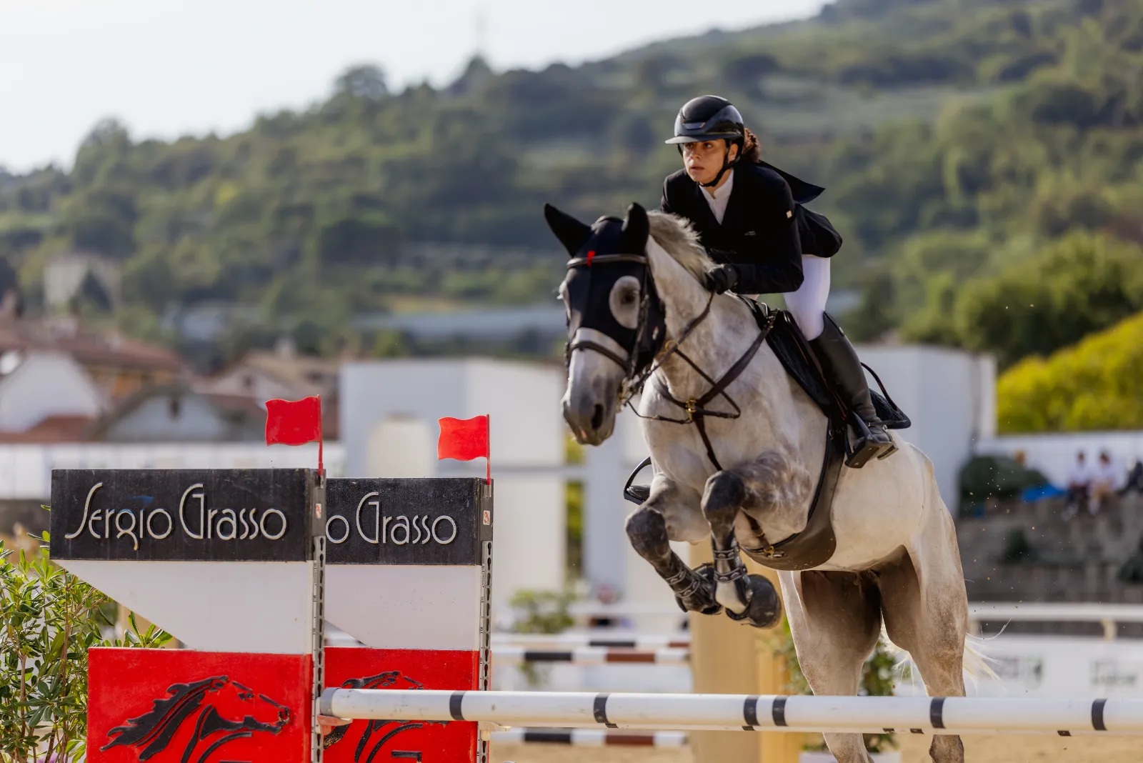 Un grigio in volo con le colline alle spalle