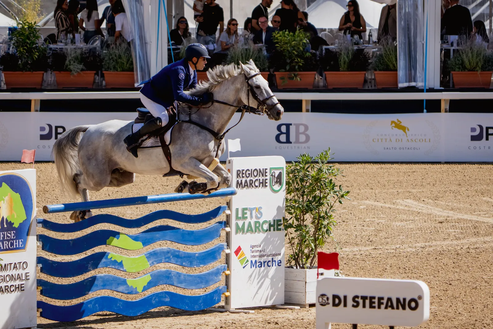 Un grigio sopra le onde blu