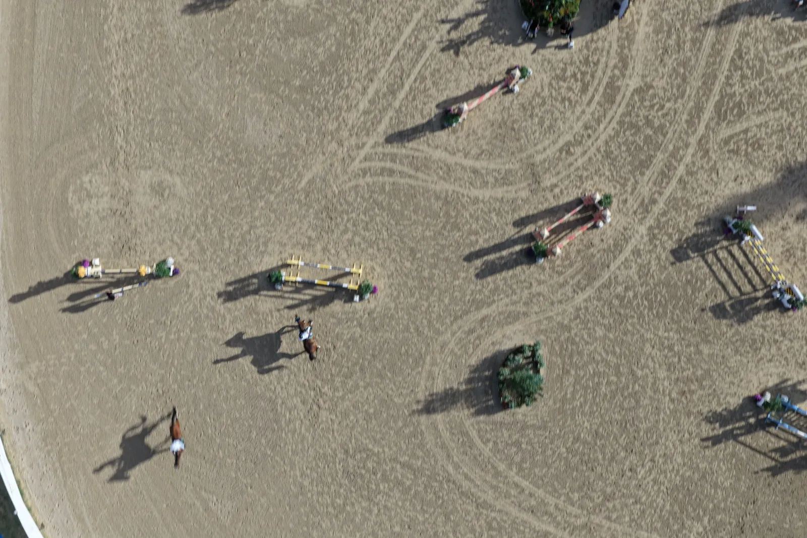 Binomi sul campo visti dalla verticale del drone