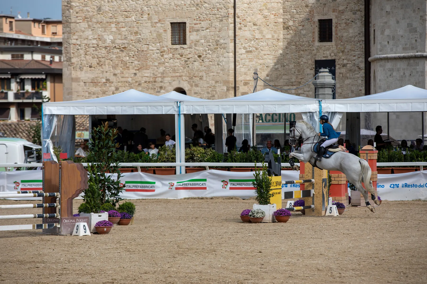 Un grigio salta l'ostacolo davanti al torrione medievale che domina il Campo Squarcia